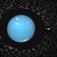 Illustration for article titled Neptune's Long Lost Moon Reappears